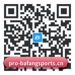 系统版 iOS 二维码